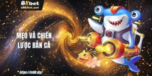meo-va-chien-luoc-ban-ca-1